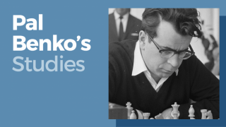 팔 벤코의 연구