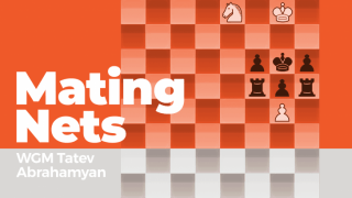 체크메이트 그물