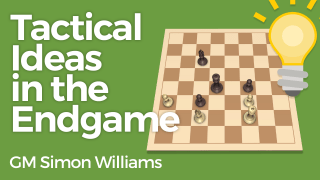 Tactical Ideas in the Endgame